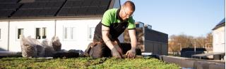 tuinman op dak